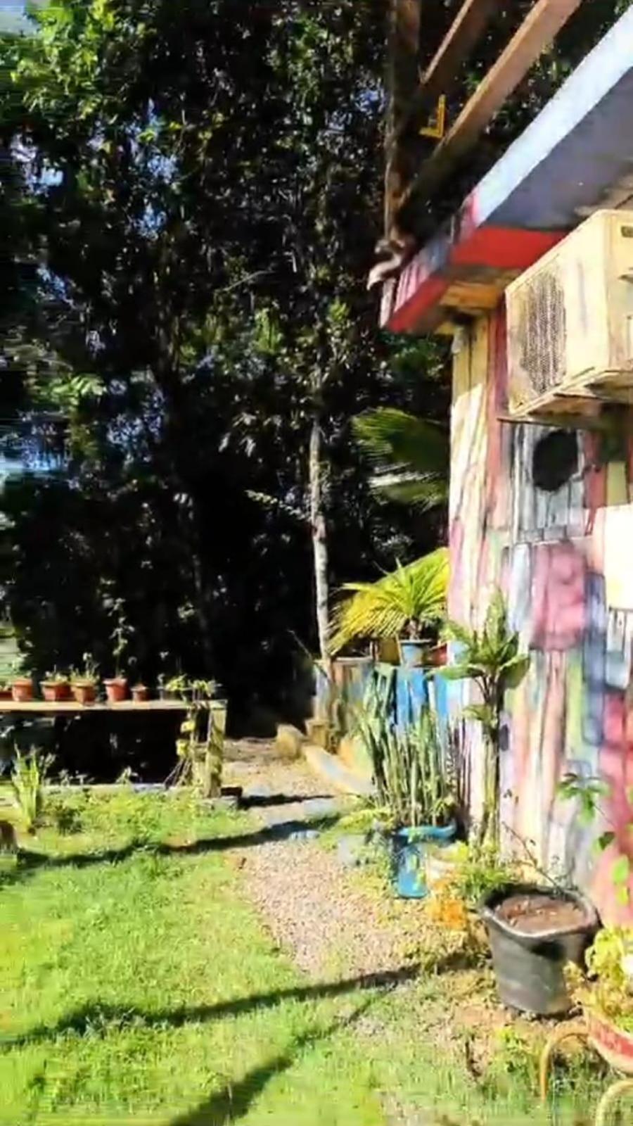 A Figueira Sagrada - Hostel 모로데상파울루 외부 사진